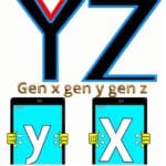 esta página mostra a imagem das letras X Y Z Gerações XYZ e a Revolução Digital no Envelhecimento
